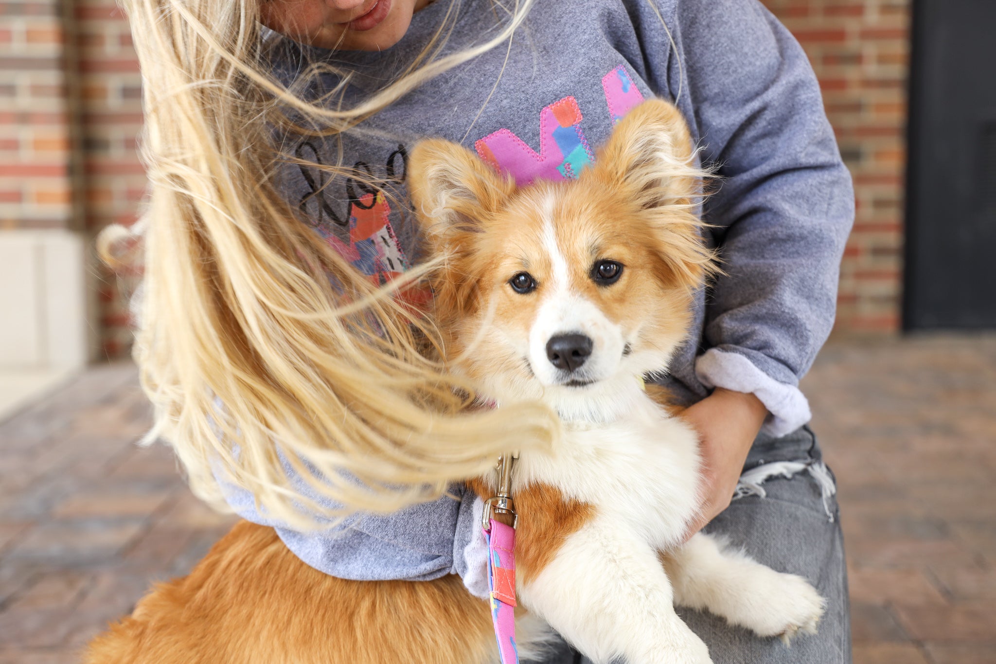 Puppy in summer. Puppy in Spring. Corgi puppy. Personalized collar for puppy. Dog collars. Personalized dog collar for spring. Personalized dog collar for summer. dog mom. dog parent. new puppy. advice on puppy