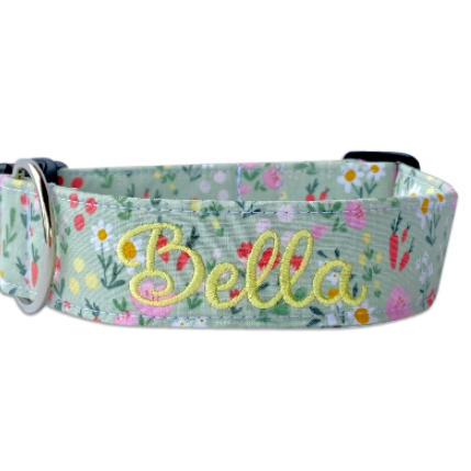 Carrots and Daisies Dog collar for spring