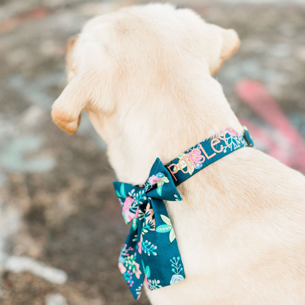 Why Your Dog Needs A Custom Embroidered Collar