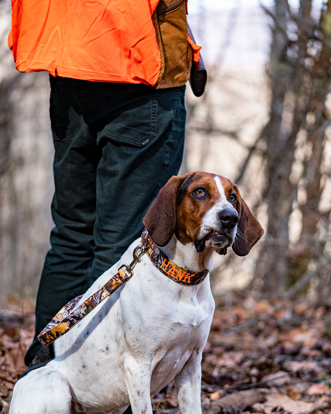 Safety tips for hunting with your dog. Hunting dog gear. Train your dog to hunt.