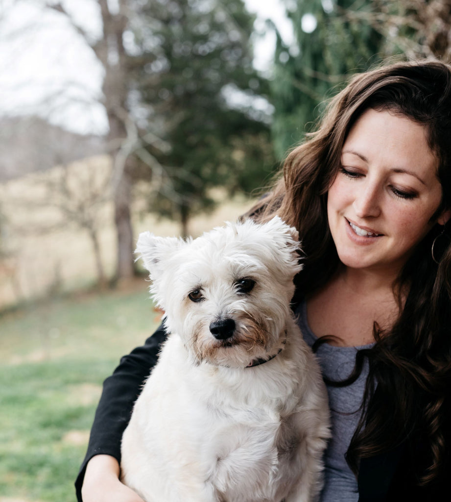 Choosing the Right Dog Breed for Your Lifestyle Finding Your Perfect