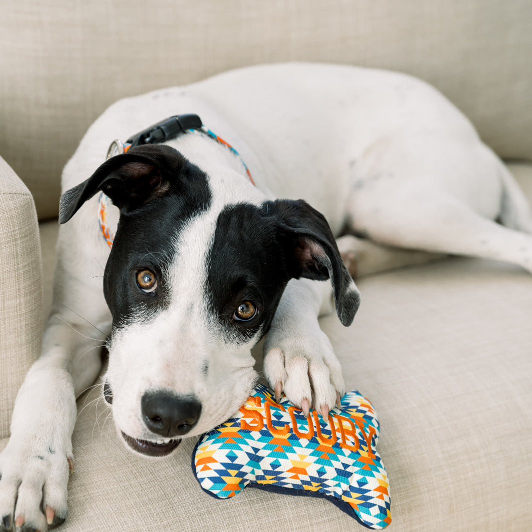 Personalized Dog Toys