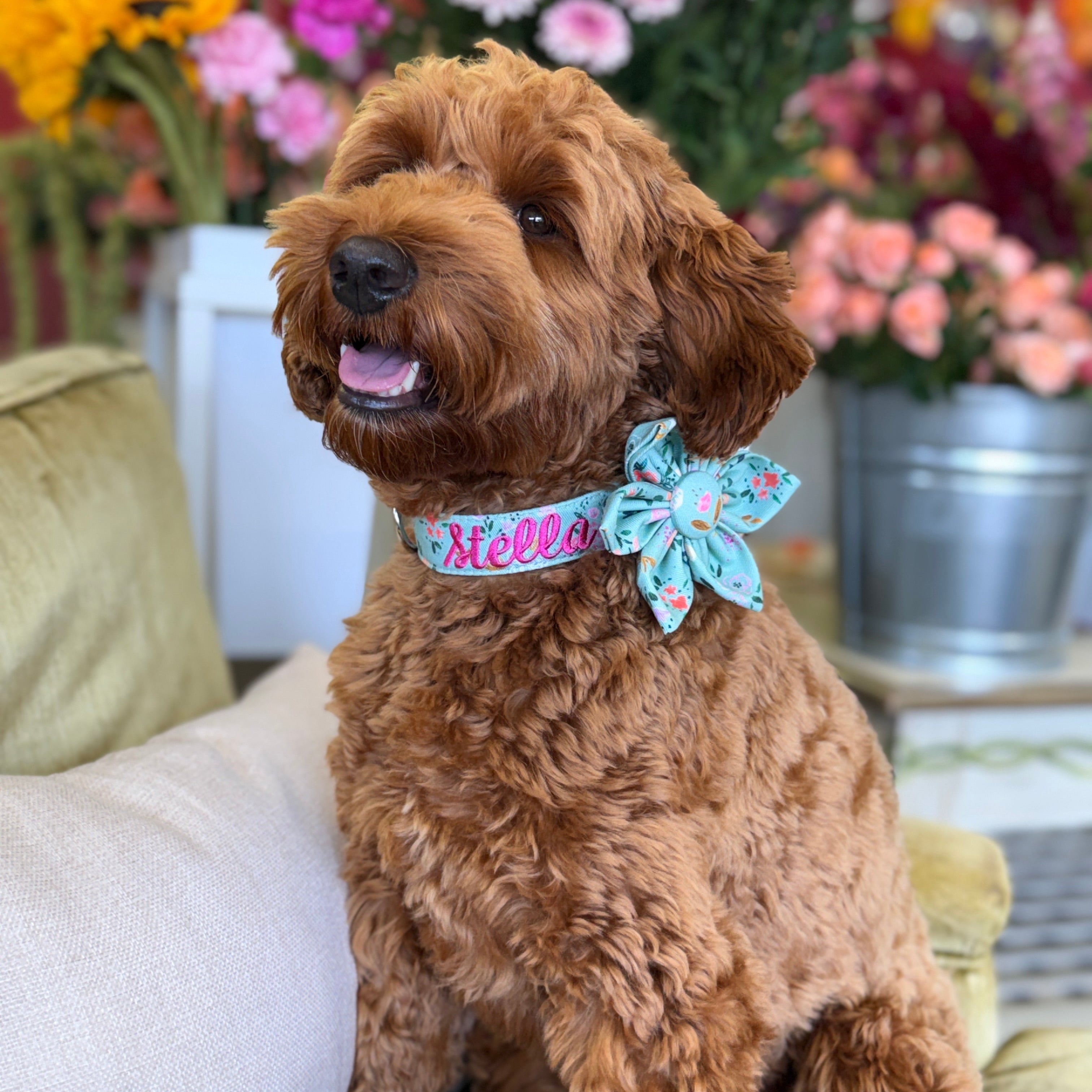 Personalized Dog Collars, Embroidered Dog Collar with Collar flower, Custom Dog Collar