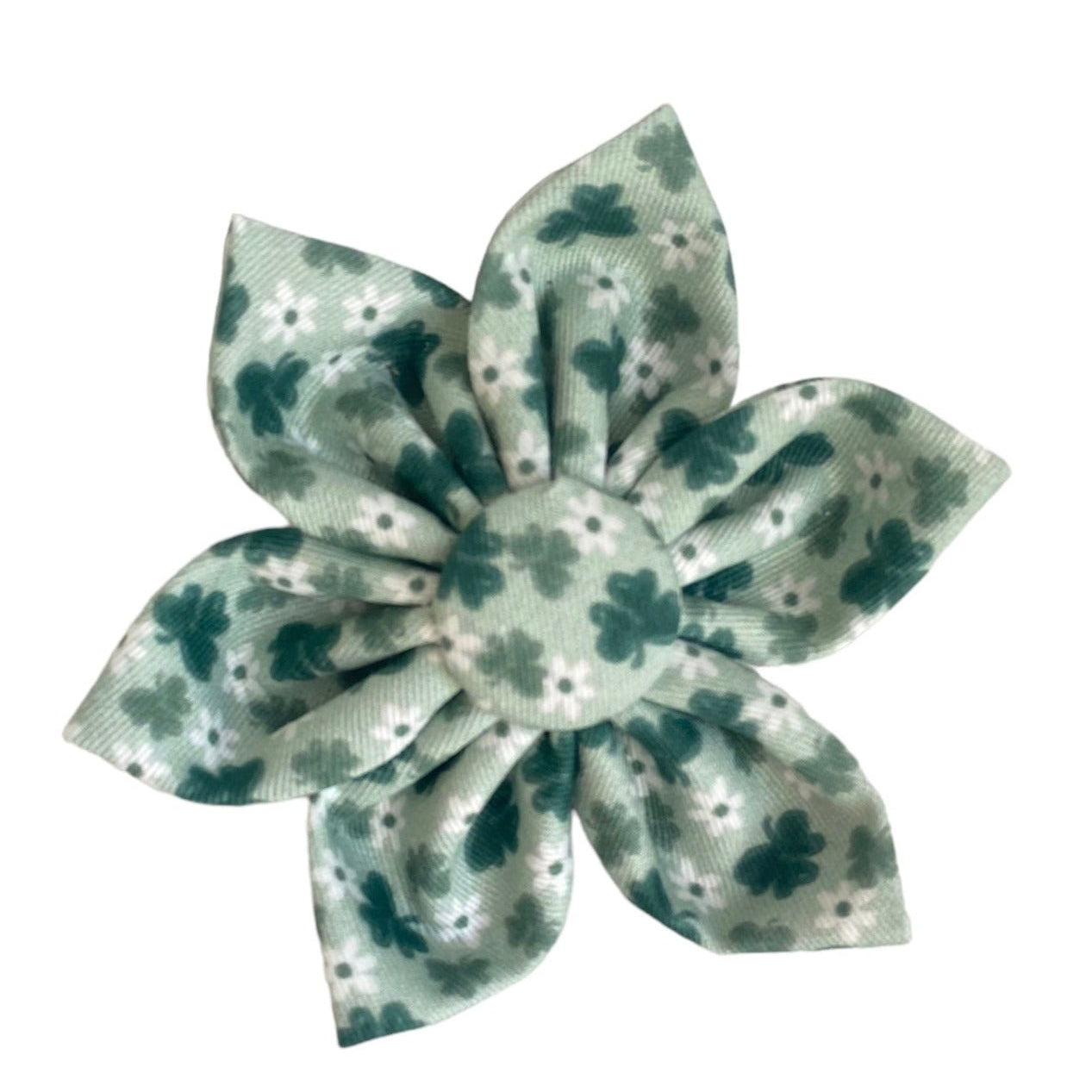 Green dog collar flower with small shamrocks and little white daisies