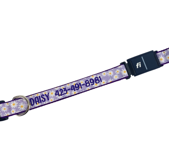 Personalized Fi Dog Collar Series 3 Fi Compatible Dog Collar Duke & Fox