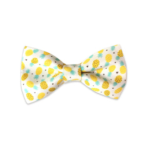 Dog Collar Bow Tie | Pineapple Dog Collar Bow Tie | Duke & Fox®