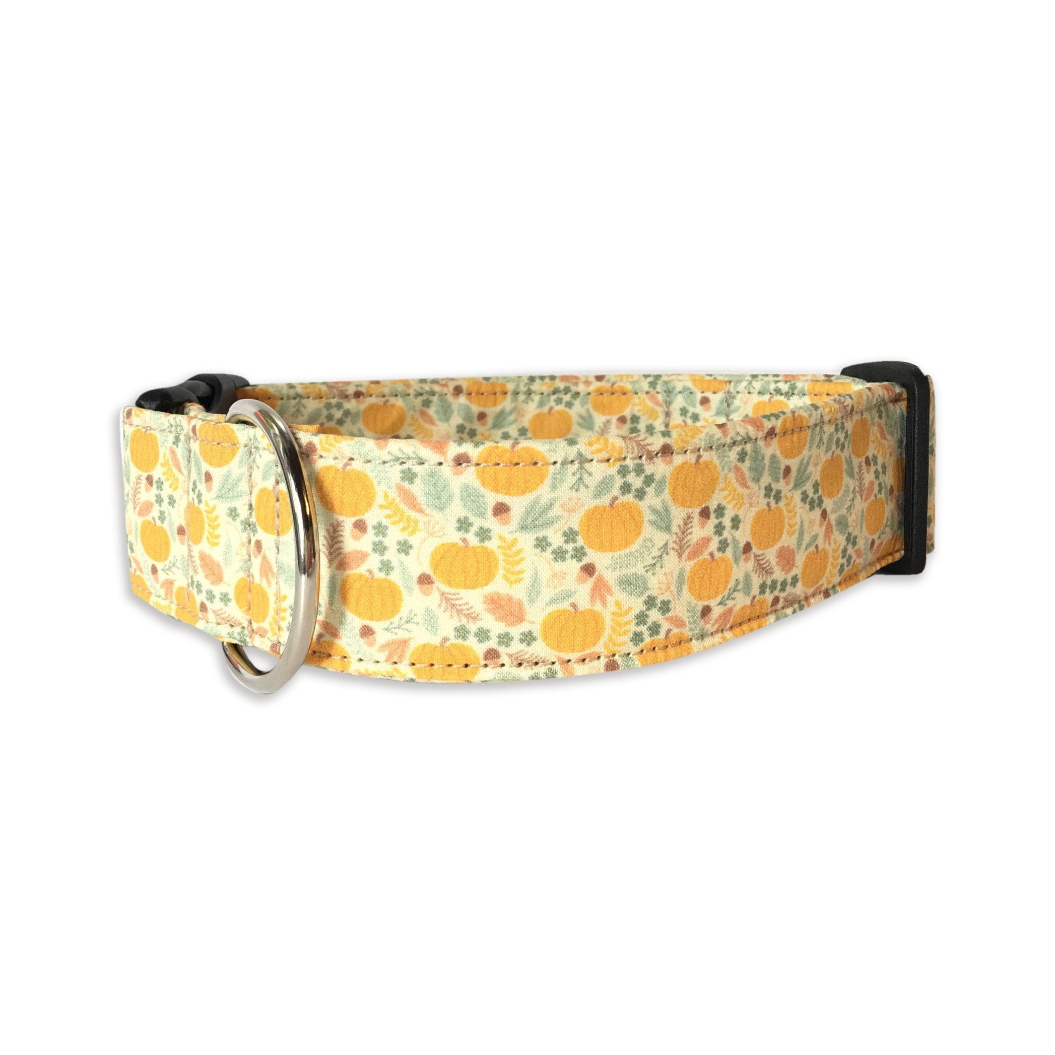 Pumpkins & Acorns Collar