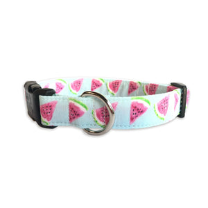 Watercolor Watermelon Collar