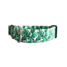 Personalized Dog Collar by Duke & Fox®. Custom Dog Collar. Embroidered Dog Collar. Palm Leaf Dog Collar with embroidered name.