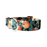 Darling Clementine Citrus Personalized Collar