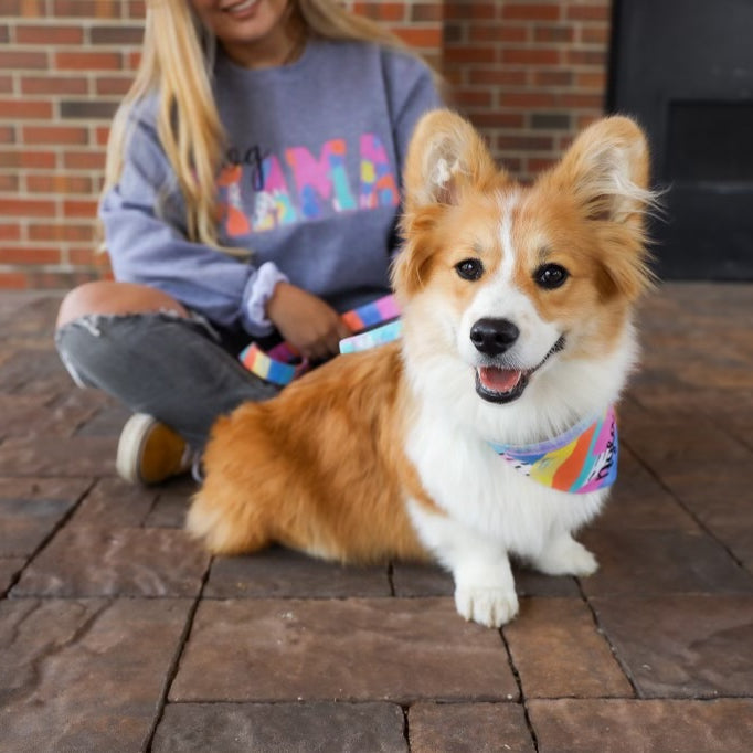 Dog Mama sweatshirt and a corgi wearing a personalized dog bandana.