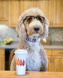 A golden doodle wearing a Duke & Fox embroidered Dog Collar with a Starbucks coffee. The Doodle is wearing a fall gingham dog collar with navy embroidery thread.
