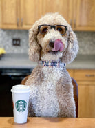 A golden doodle wearing a Duke & Fox embroidered Dog Collar with a Starbucks coffee. The Doodle is wearing a fall gingham dog collar with navy embroidery thread.