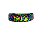 Rainbow Heart Dog Collar by Duke & Fox. Personalized dog collar by duke and fox. Embroidered Dog Collar with name and phone number.
