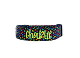 Rainbow Heart Dog Collar by Duke & Fox. Personalized dog collar by duke and fox. Embroidered Dog Collar with name and phone number. 