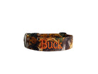Don't let your pooch hide in the brush in our camo collar! You'll never find them! Well, the wagging tail may give them away. Or if they aren't into hiding and more into making a statement, make it strong with a punch of bold color like neon orange