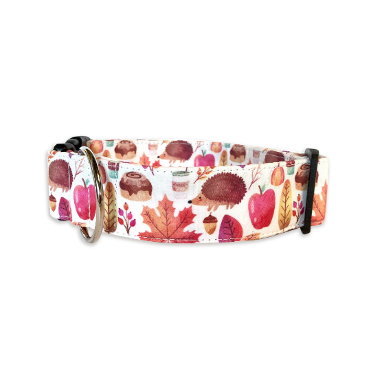 Duke & Fox personalzed dog collar with hedgehogs, cinnamon buns, pumpkin spice lattes, leaves, and apples. Fall personalized Dog Collar. Pumpkin fall custom collar.