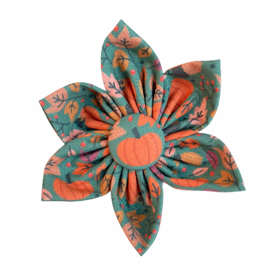 Dog collar flower with teal backdrop and vibrant pumpkins and leaves.