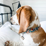 A basset hound wearing a Duke & Fox floral dog collar with an embroidered name. 