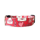 Show off your lovable personality in your Duke and Fox Love Letters Dog Collar.