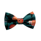 Orange Dog Collar Bow tie, Clementine dog collar bow tie, bow tie for dogs