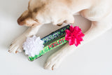 Paisley the Labrador is in a product photography photo with 2 Personalized St. Patricks Day Collars that are embroidered with names and accessorized with matching collar flowers.