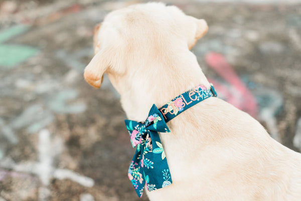 Why Your Dog Needs A Custom Embroidered Collar