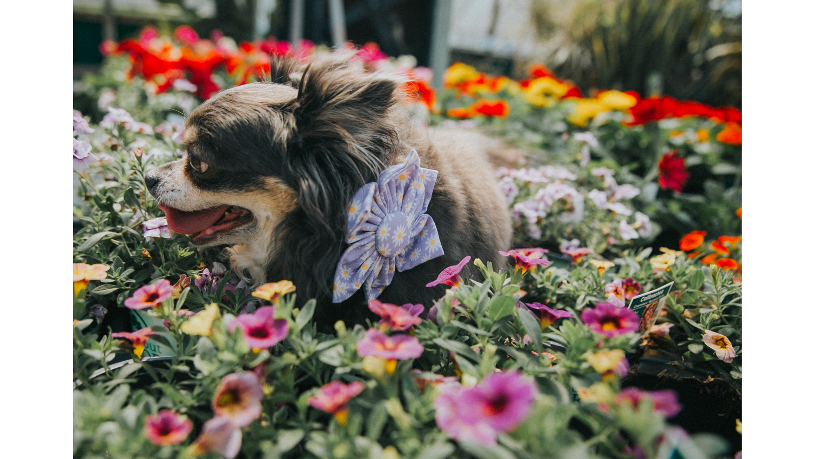 It's Spring Y'all, Time To Get Outside!