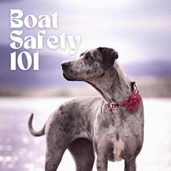 Boat Safety 101: Keeping Your Furry First Mate Safe