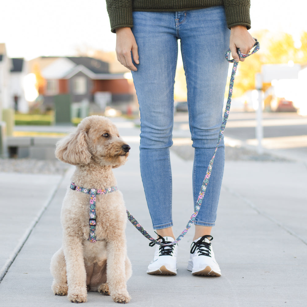 Blogs About Dogs, Step in harness for all size dogs by Duke & Fox