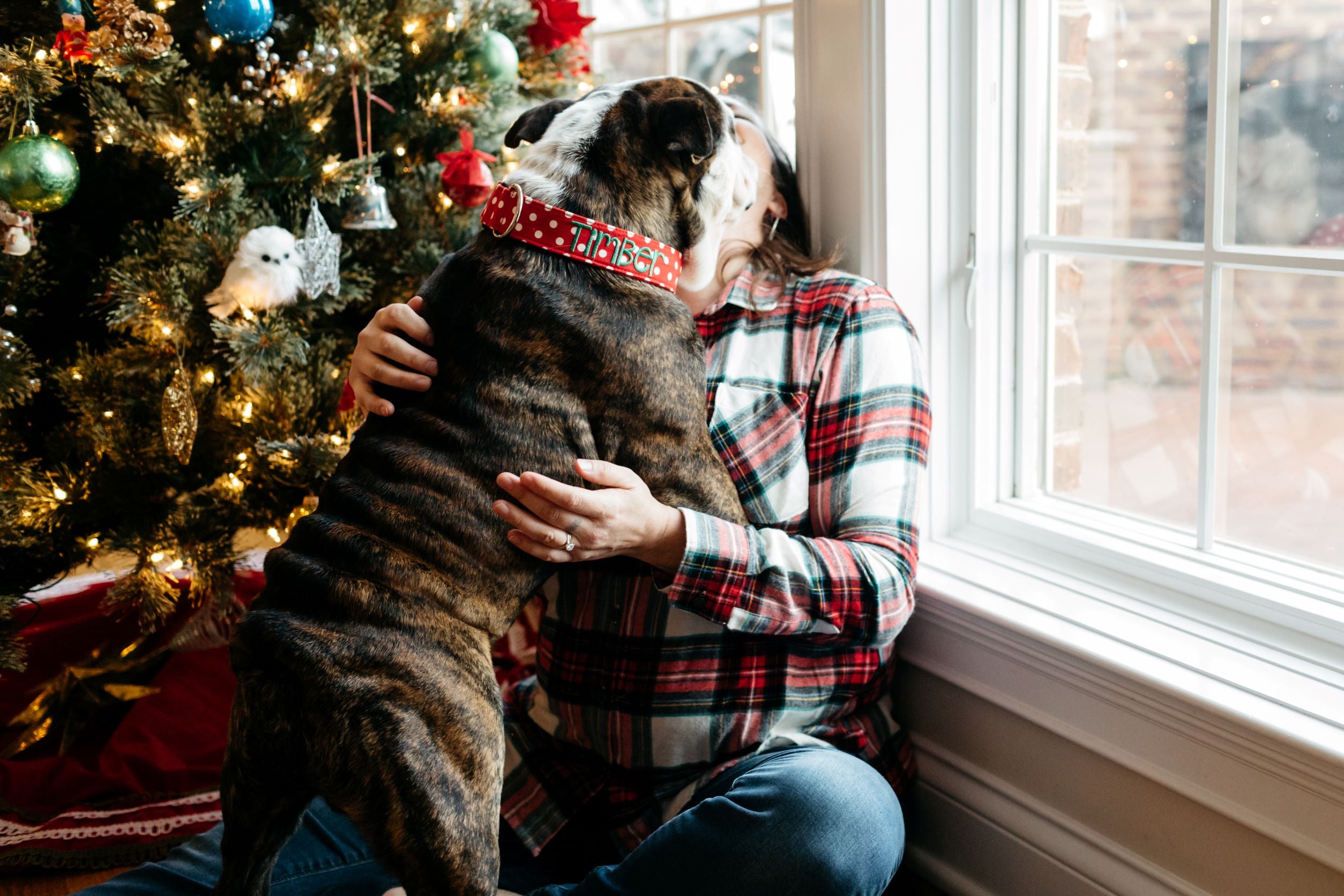 Traveling with your pets this holiday season?