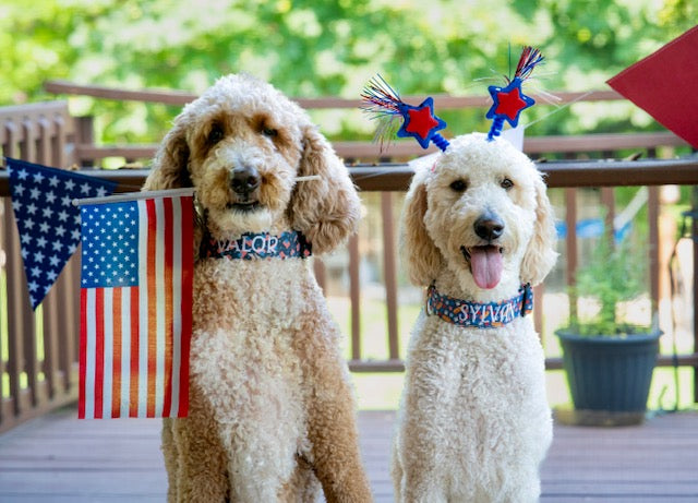 Preparing Your Dog for a Safe and Happy 4th of July