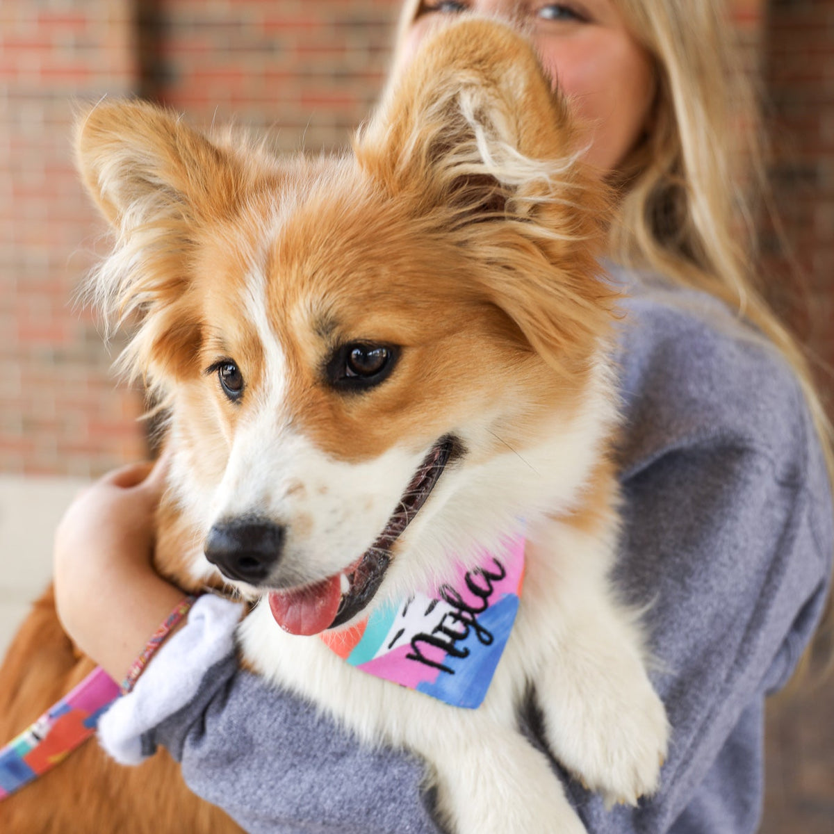 New Designs – Duke & Fox
