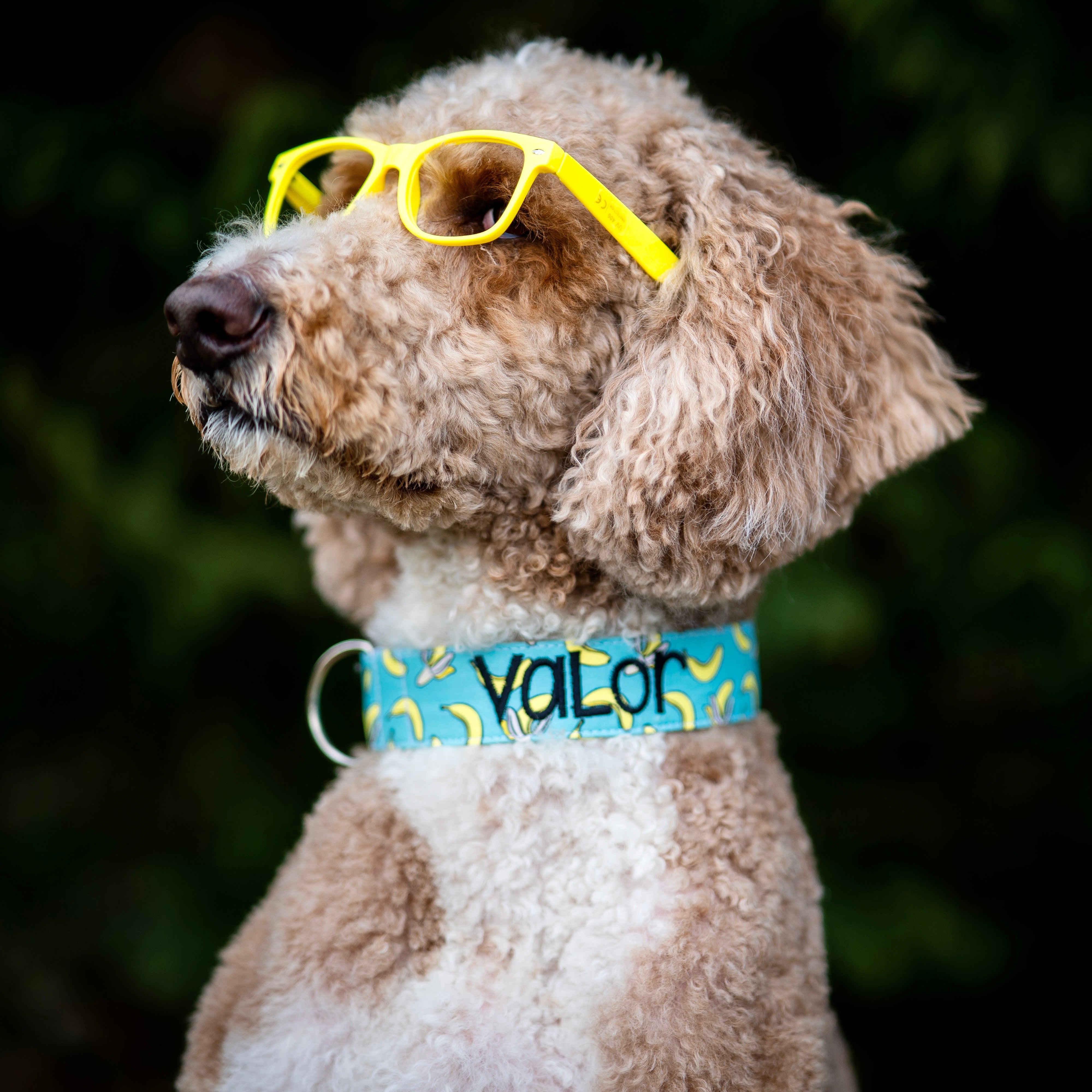 30% OFF & Discontinued