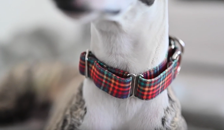 Martingale Collars