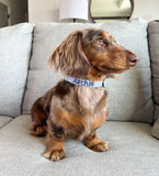 Baby Blue Gingham Dog Collar