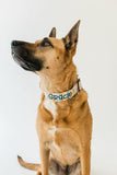 Personalized Dog Collar | Wavy Daisy Dog Collar | Duke & Fox