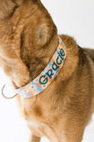 Personalized Dog Collar | Wavy Daisy Dog Collar | Duke & Fox