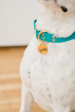 Personalized Engraved Pet Tag