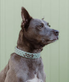 Sage Plaid Dog Collar