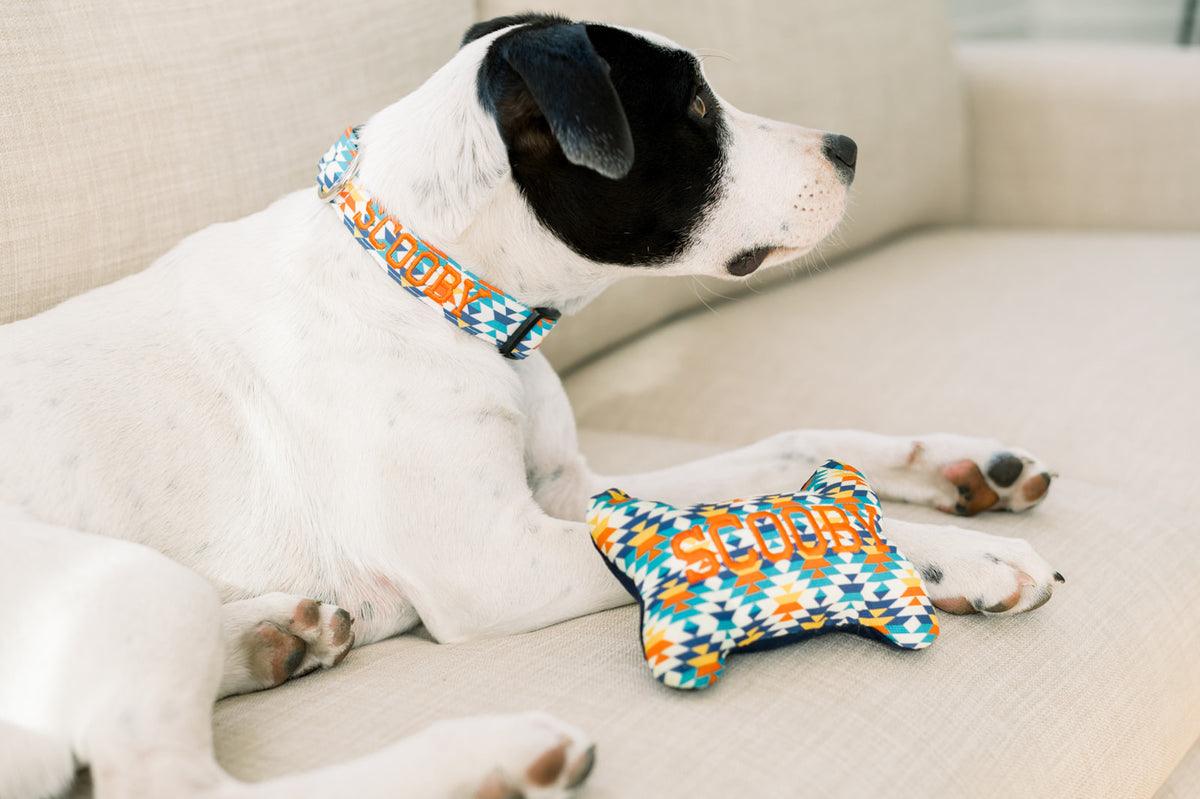 Geometric Dog Collar – Duke & Fox