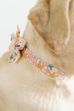 Personalized Dog Collars | Coral Starfish Embroidered Dog Collar