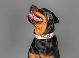 Pink Floral Dog Collar