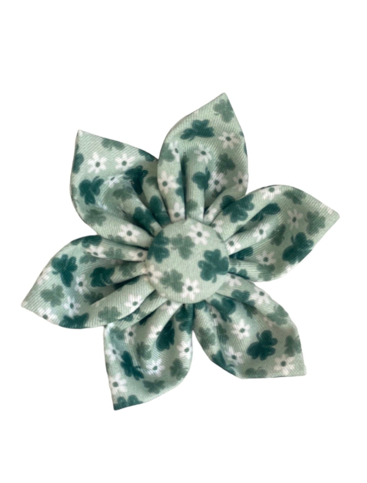 Green dog collar flower with small shamrocks and little white daisies