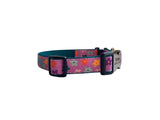 Series 3 Fi Compatible Dog Collar