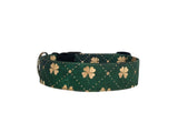 Personalized Gold Shamrock Dog Collar