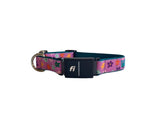 Personalized Fi Dog Collar | Series 3 Fi Compatible Dog Collar