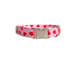 Personalized Pink and Red Heart Valentine's Dog Collar