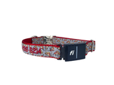 Personalized Fi Dog Collar | Series 3 Fi Compatible Dog Collar