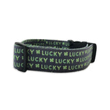 Personalized Dog Collar | St. Patricks Day Dog Collar | Duke & Fox®